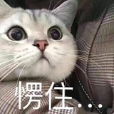 一颗汤圆
