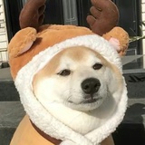 Cjutt