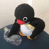 爱吃瓜的猹
