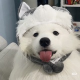 天生我材