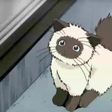 Ponta