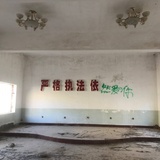 看月亮吗一起