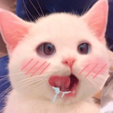 小肥