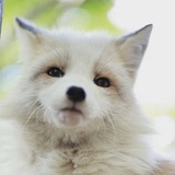 云溪客