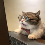 豆友224526745
