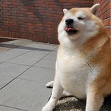 豆友224540941