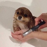 可喜可乐_pmpy