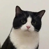 正堪眠