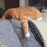 假装思考