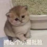 啊喔额