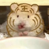 宝山缺德人