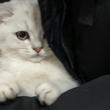 豆友224579122