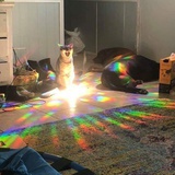 你也想吃冰吗