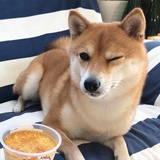 吃火龙果不吐籽
