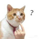 观你诗