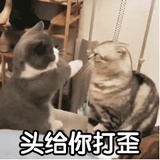 满分答卷