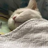 烟霞烈火