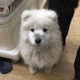 郁郁