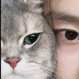 转眼就忘了