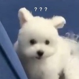 我不知道