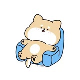 毛毛