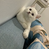 妮妮