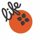橙柿Life