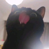 坠星劫火丶