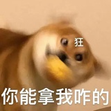 放飞自我