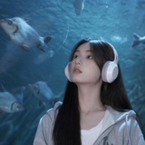 小糖小糖呀