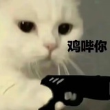 自在如风