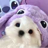 九点准时睡