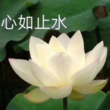述古