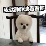 豆子友