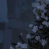 镜子
