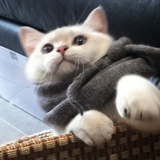 愿系君恩得长久