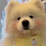 omo