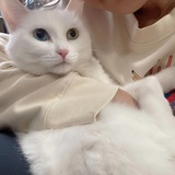 想想就是想想🌻