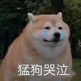 今天减肥了没