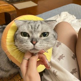 小馆
