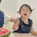 给挑食怪蹲罐头
