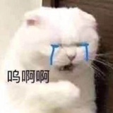 呜啊啊