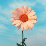 慕慕同学