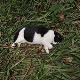 沿着山边散个步