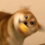 你能过六级吗？