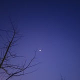 nocturne