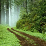 平峦子梧桐山论道300讲