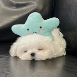 喝前请摇匀