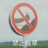 霍猪沉不沉