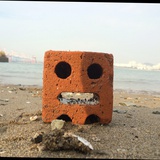 东海大鹏